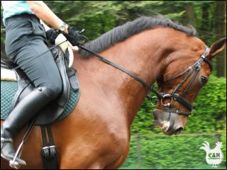 riding in the Vallespir