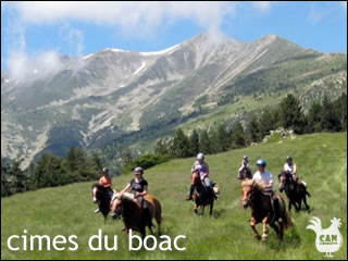 cimes du boac