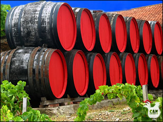 Celliers des Templiers Banyuls