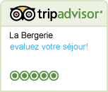 review us